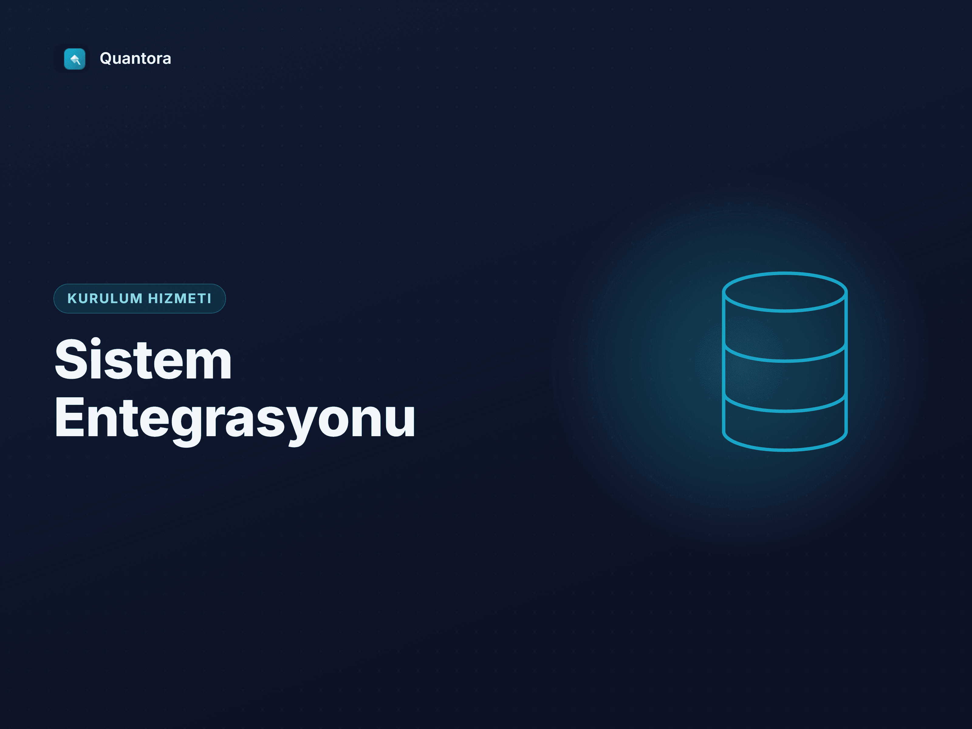 Sistem Entegrasyonu